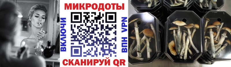 купить наркоту  Электроугли  Галлюциногенные грибы Magic Shrooms 